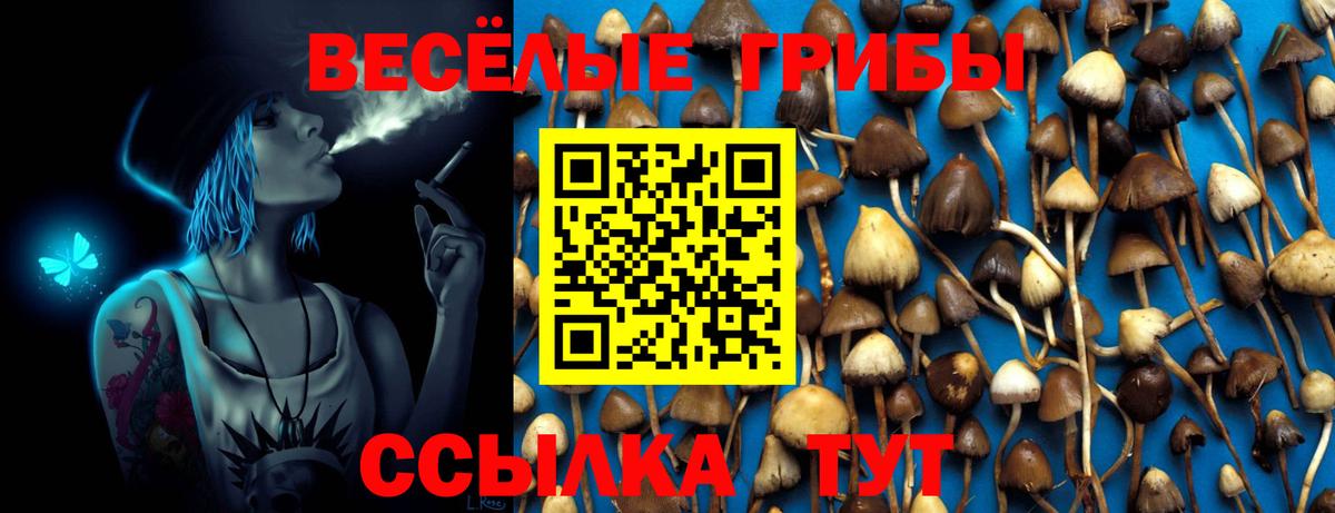 Галлюциногенные грибы мицелий Донецк