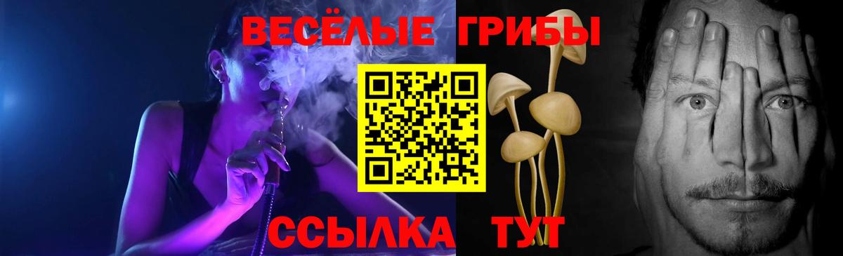 Донецк  Псилоцибиновые грибы MAGIC MUSHROOMS  Вход с VPN 